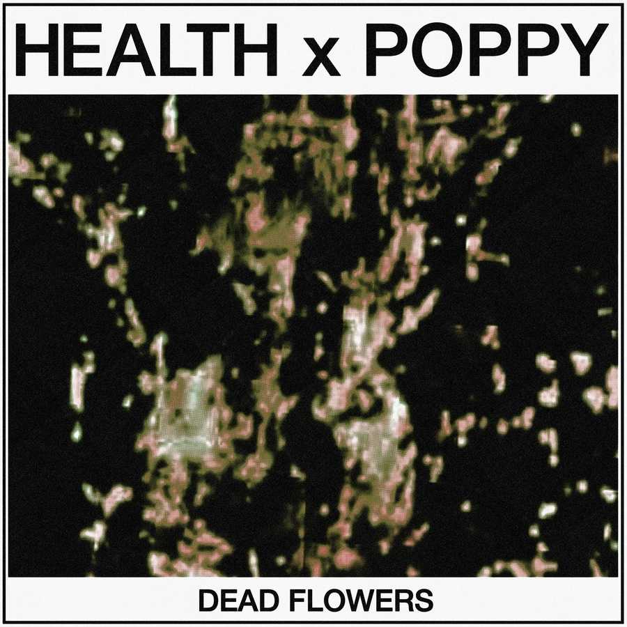Health & Poppy - Dead Flowers